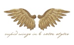 cupid_wings